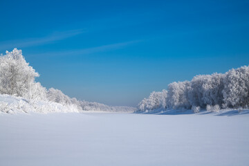 Winter, frosty and sunny mornings. Winter landscape and trees in the frost. Lots of free space for your text.