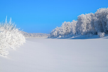 Winter, frosty and sunny mornings. Winter landscape and trees in the frost. Lots of free space for...