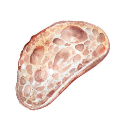 Slice of white bread. Piece of fresh baguette for breakfast hand drawn watercolor illustration