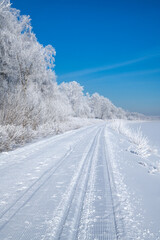 Winter, frosty and sunny mornings. Winter landscape and trees in the frost. A ski run laid along a water channel. Lots of free space for your text.