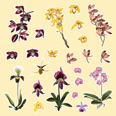 Set of tropical orchids flowers elements. Set of stickers, pins, patches and handwritten notes collection stikers kit.