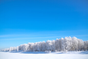 Winter, frosty and sunny mornings. Winter landscape and trees in the frost. Lots of free space for your text.