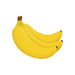 Fruit Vector Illustration - Banana