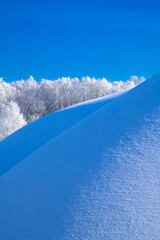 Winter, frosty and sunny mornings. Winter landscape and trees in the frost. Lots of free space for your text.