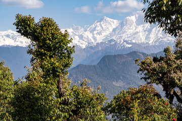 A breathtaking view of the snow-clad Himalayan peaks under a clear blue sky, framed by lush green trees, showcasing the pristine beauty and grandeur of the Rudraprayag region in Uttarakhand.