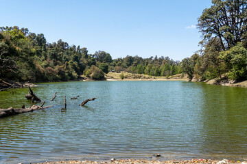 A serene forest lake surrounded by lush greenery, calm green waters and scattered tree trunks emerging from the surface. Tranquil and unspoiled beauty of Deoria Tal in Ukhimath, Uttarakhand, India.