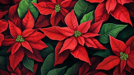 Red poinsettia flowers and green leaves background, Christmas season concept