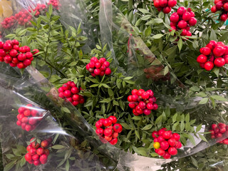 Bright red berries on green foliage wrapped in clear plastic, suitable for floral arrangements, displayed in a market, versatile for holiday decor, Christmas promotions, or eco-friendly branding.