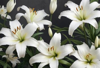 Obraz premium Elegant floral abstract art with white lilies, white flowers, nature, watercolor painting