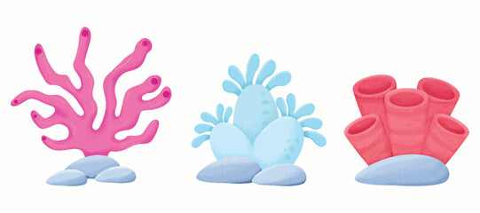 Coral Pack Watercolor vector