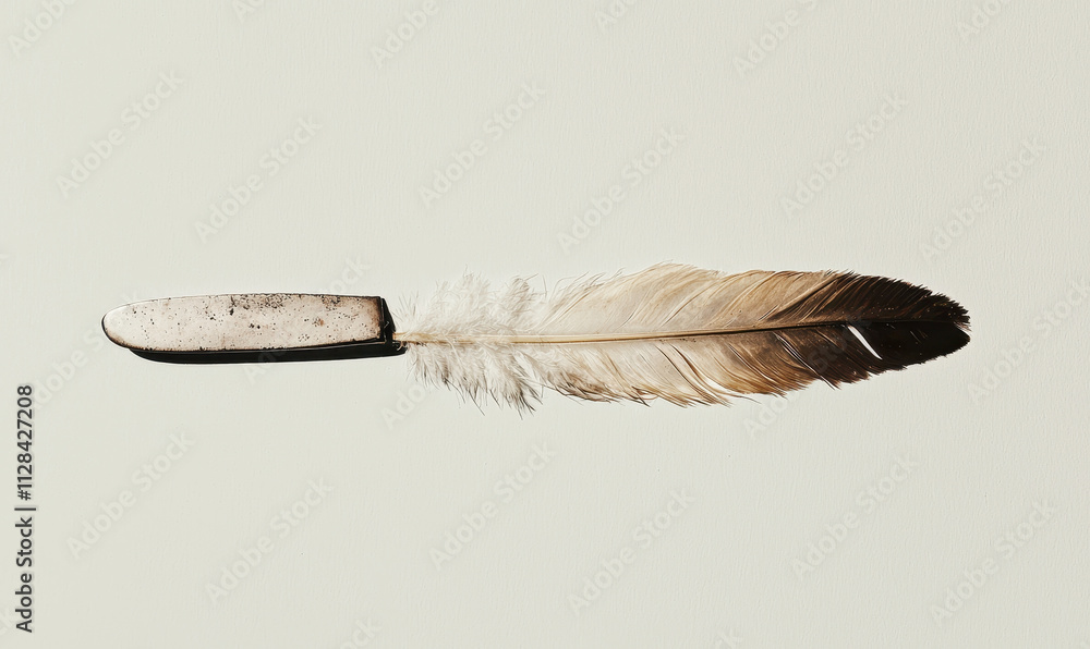 Poster exploring the delicate harmony: a minimalist feather design that symbolizes balance and serenity in 