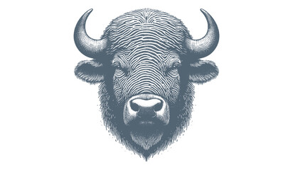 Buffalo Vector