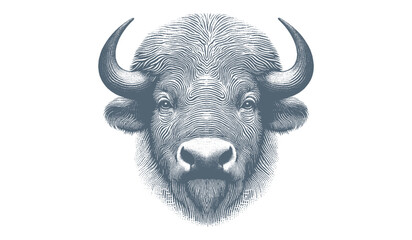 Buffalo Vector