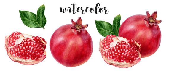 Hand-Painted Watercolor Pomegranate Botanical Illustration Isolated on White