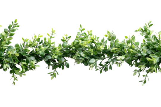 Green foliage garland perfect for home decor and event styling all year round