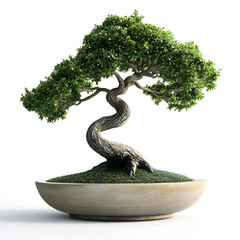 Artistic Bonsai Tree in Ceramic Pot