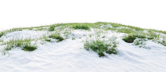 Green grass meadow covered with melting snow, isolated on transparent cutout background
