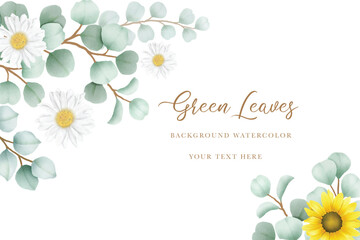 beautiful eucalyptus leaves background watercolor 