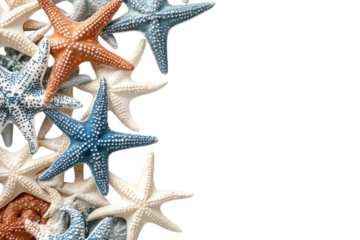 Colorful starfish arrangement on a light background showcasing marine beauty and coastal charm in decor