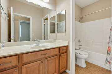 Spacious bathroom featuring wooden cabinetry and a mirror, leading to a walk-in closet from a well-lit home