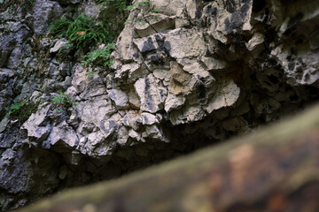 Cracked, white limestone rock surface with moss on it