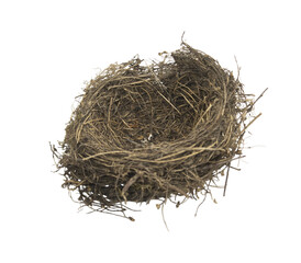 Empty bird nest isolated on transparent background