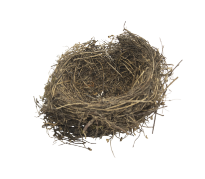 Empty bird nest isolated on transparent background