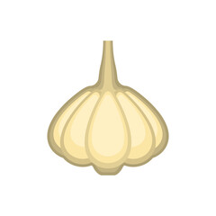 Garlic isolated. Vegetable icon sign.