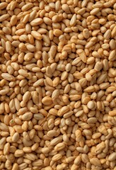 Fototapeta premium Microscopic image showing wheat grain structure, wheat, grain, analysis