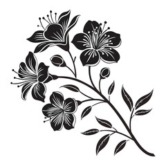 black and white floral