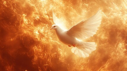 holy spirit dove in flames white dove in fire flames fire background digital illustration