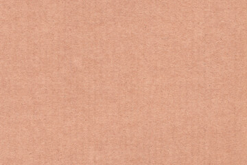 Fototapeta premium Craftsman's Cardboard Texture