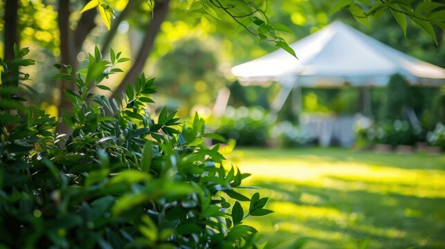The event tent appears as a mere suggestion in the midst of a verdant garden setting.