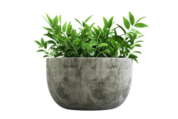 Contemporary Square Concrete Planter Pot with Clean Edges Isolated on Transparent Background
