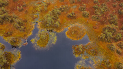 .landscape of swamp, lake and forest from drone