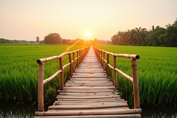 Fototapeta premium Serene Bamboo Bridge Over Lush Green Rice Field Under Golden Sunrise with Palm Trees in Background Creating Picturesque Natural Scenery
