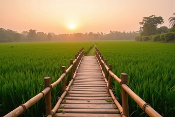 Fototapeta premium Serene Sunrise Over a Bamboo Bridge Leading Through Lush Green Rice Fields with Palm Trees and Soft Light of Dawn Highlighting the Tranquility of Nature’s Beauty