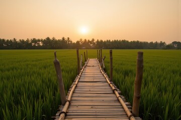 Obraz premium Serene Bamboo Bridge Stretching Across Lush Green Rice Fields Under a Warm Sunset in Tranquil Scenery