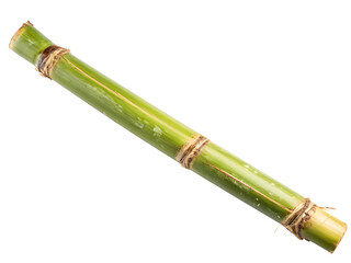 Fototapeta premium Sugar cane isolated on white background 