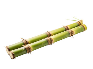 Fototapeta premium Sugar cane isolated on white background 