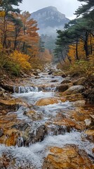 Autumn Stream Mountain Waterfall Scenic Hike Nature