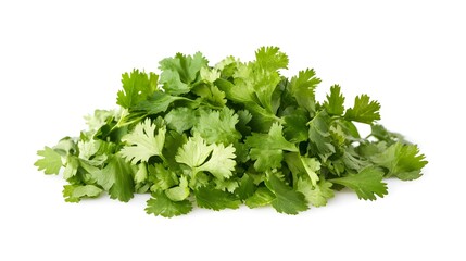 Fototapeta premium Chopped Coriander leaves isolated in white background