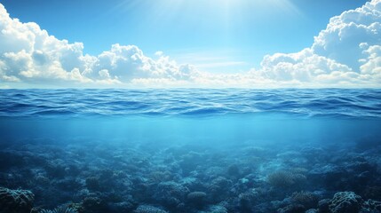 Ocean Surface and Underwater Coral Reef Scene