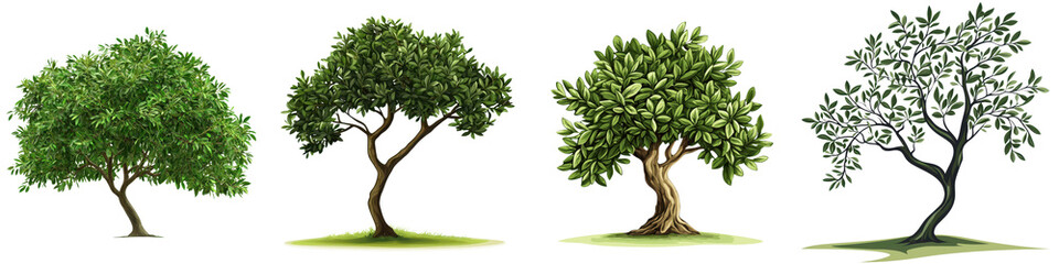 Lush Verdant Green Trees and Foliage Forming a Tranquil Scenic Outdoor Landscape  Flourishing Nature in a Serene Peaceful Environment