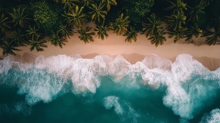 Aerial View of Tropical Beach and Ocean Waves