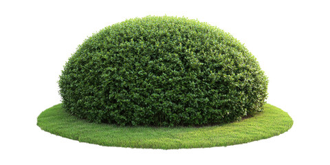 Rounded green bush isolated on transparent background