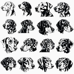 BLUETICK COONHOUND svg files for cricut hunting dog vector face head, clipart png