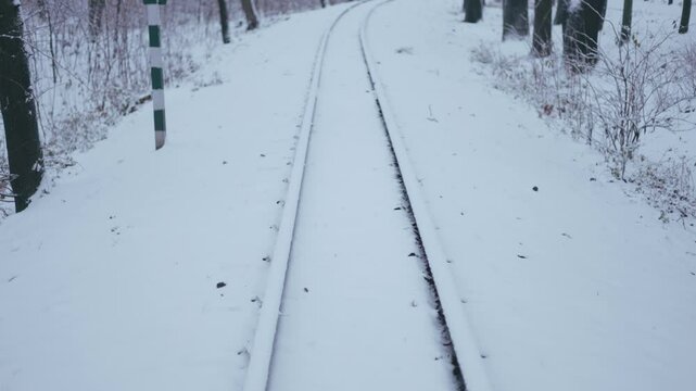 Winter park before New Year.