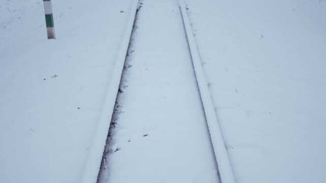 Winter park before New Year.