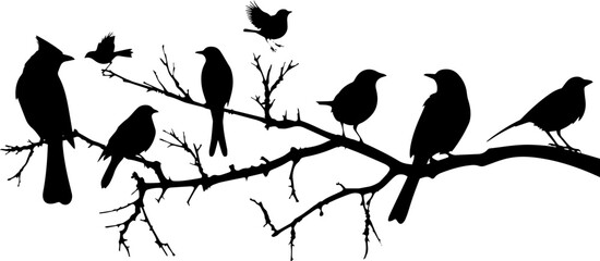 Vector silhouettes of birds perched on tree branches. Several species depicted, including songbirds and larger birds. Black illustration of avian diversity isolated on blank transparent background